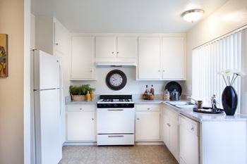 Gas range stoves